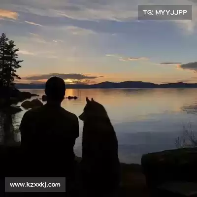史怀玄